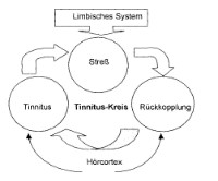 Der Tinnitus-Kreislauf